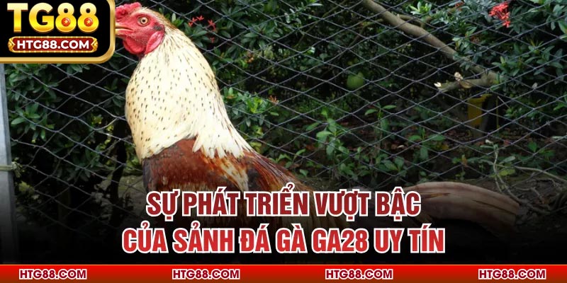 Sự phát triển vượt bậc của sảnh đá gà GA28 uy tín